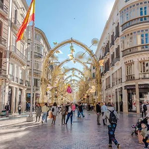 https://apartment-with-private-patio-malaga-center.1costadelsol.com